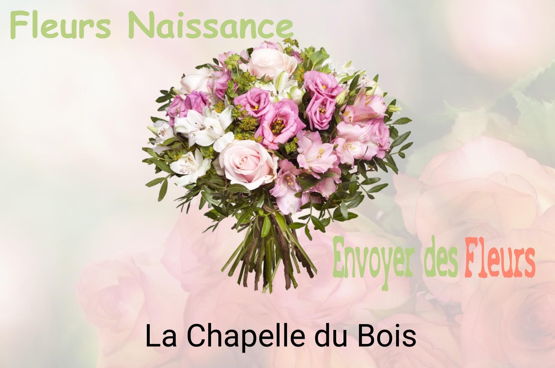 Bouquet de fleurs de naissance livré à La Chapelle-du-Bois